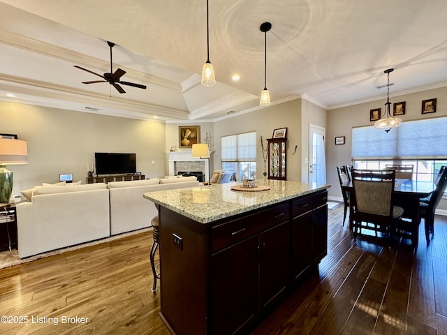 kitchen with a healthy amount of sunlight, ornamental molding, dark wood-style flooring, and a tiled fireplace