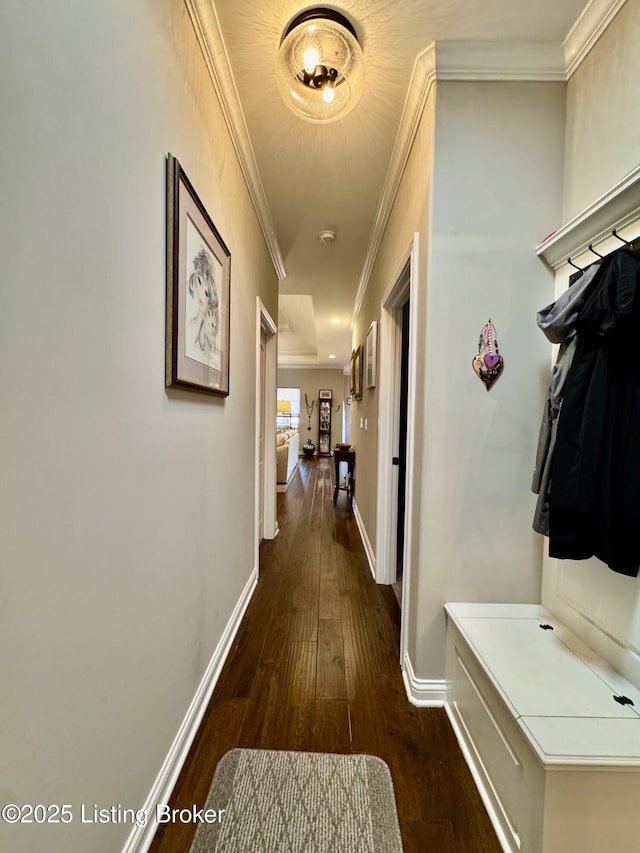 hall featuring dark wood-style floors, baseboards, and ornamental molding