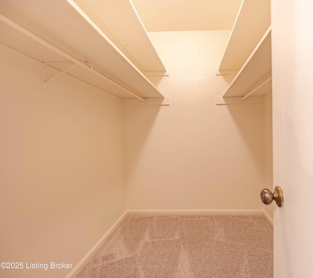 spacious closet with carpet