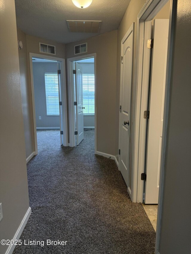 105 Teaberry Ct, Elizabethtown, KY 42701 - photo 7