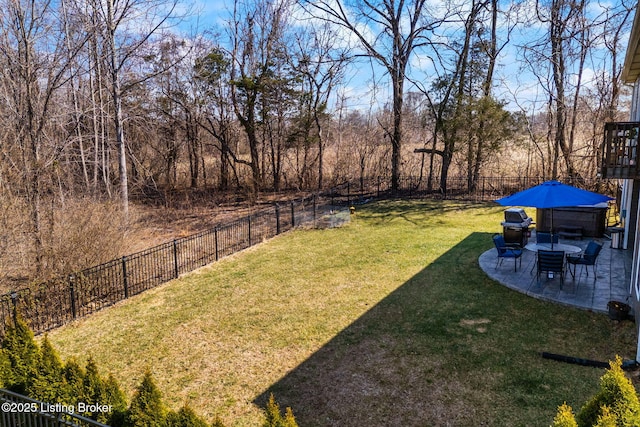 view of yard featuring a patio and a fenced backyard