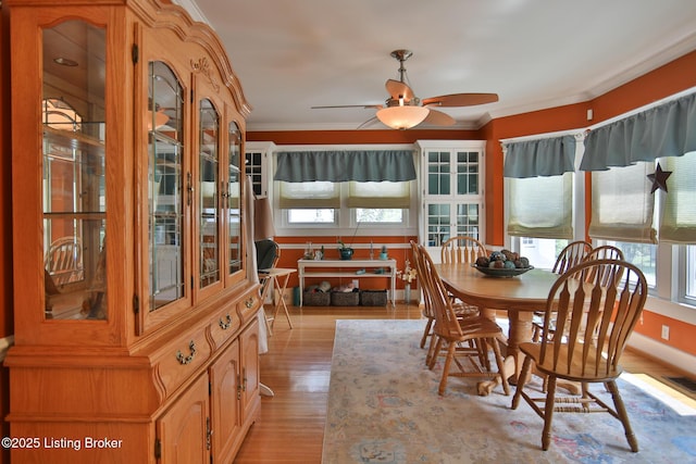 dining room featuring crown molding, a ceiling fan, visible vents, and light wood finished floors