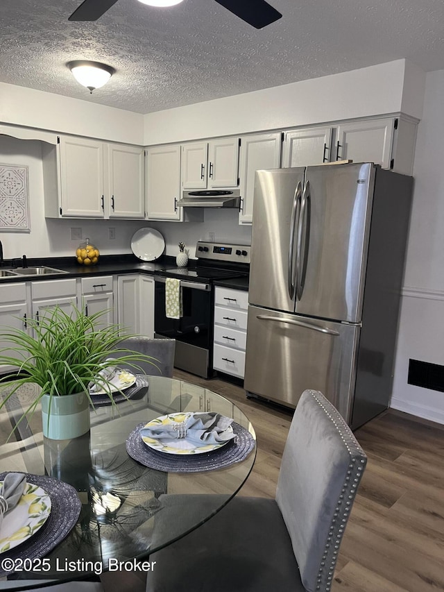 kitchen with under cabinet range hood, appliances with stainless steel finishes, wood finished floors, and a sink