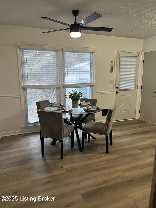 dining room featuring a textured ceiling and wood finished floors