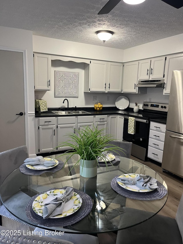 kitchen with under cabinet range hood, appliances with stainless steel finishes, dark countertops, and a sink