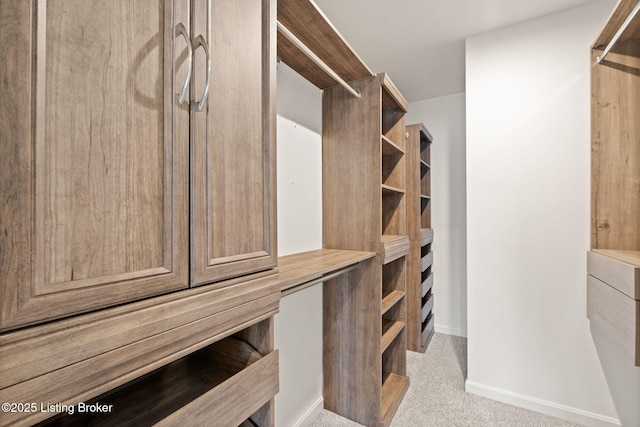 spacious closet featuring carpet floors