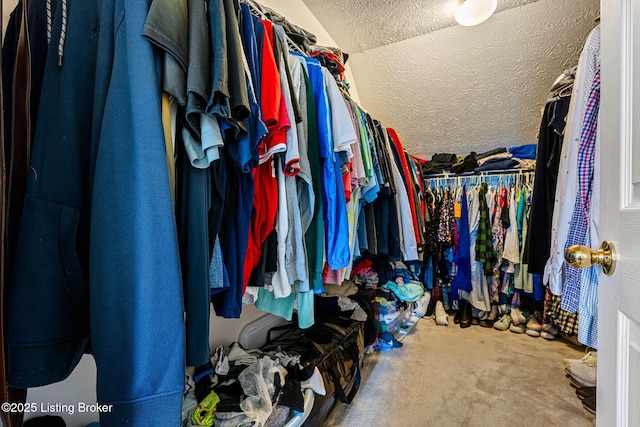 spacious closet featuring carpet floors