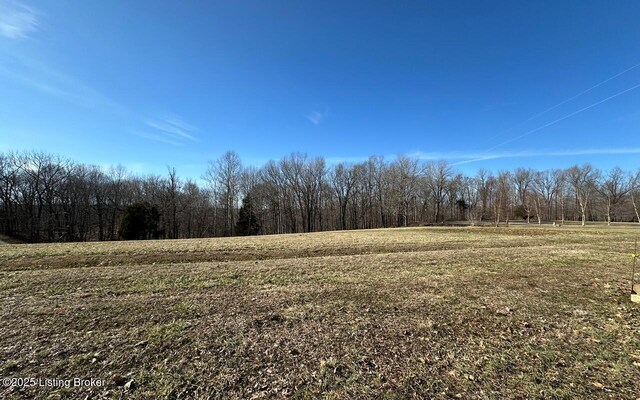 L61126 Thomason Cemetery Rd, Leitchfield, KY 42754 - photo 7