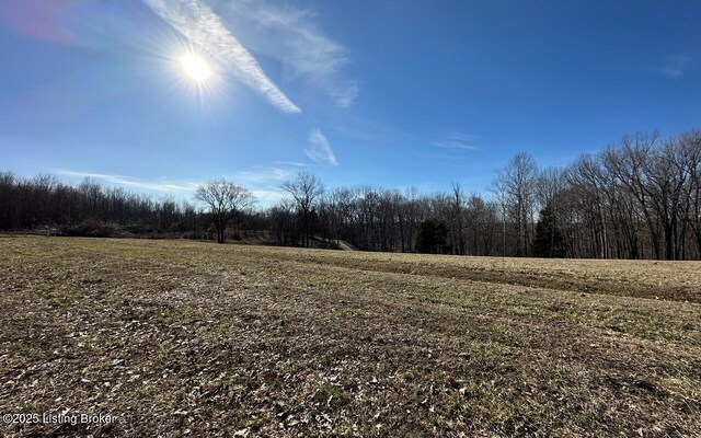 L61126 Thomason Cemetery Rd, Leitchfield, KY 42754 - photo 8