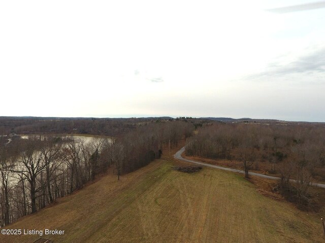 L61126 Thomason Cemetery Rd, Leitchfield, KY 42754 - photo 17