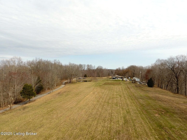 L61126 Thomason Cemetery Rd, Leitchfield, KY 42754 - photo 19