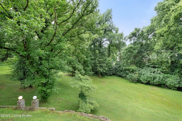 602 Club Ln, Louisville, KY 40207 - view of green lawn