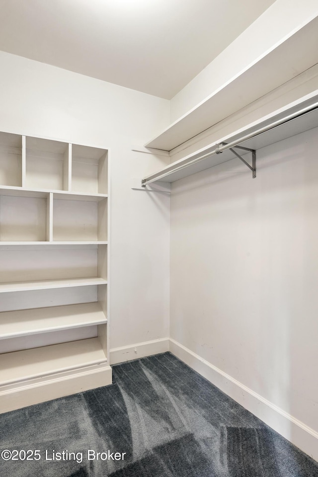 602 Club Ln, Louisville, KY 40207 - spacious closet featuring dark colored carpet