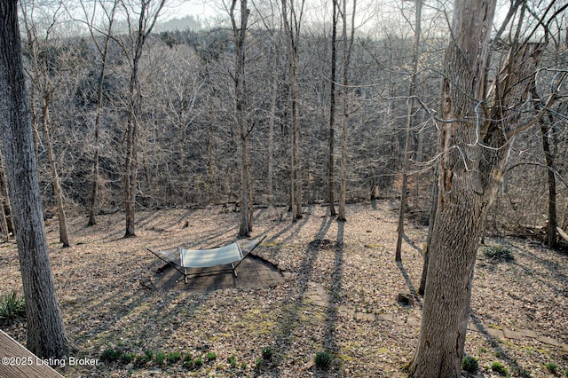 view of yard with a view of trees