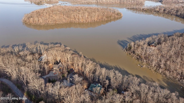 aerial view featuring a forest view and a water view