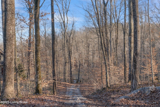 view of local wilderness featuring a view of trees