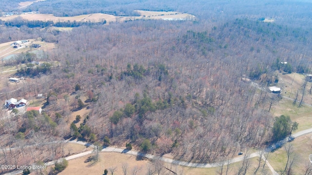 0000000000 Ice Town Rd, Boston, KY 40107