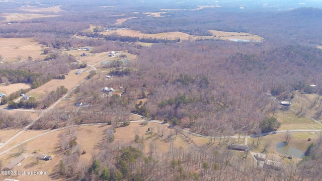 0000000000 Ice Town Rd, Boston, KY 40107