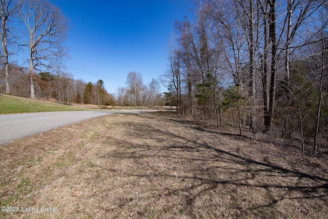 0000000000 Ice Town Rd, Boston, KY 40107