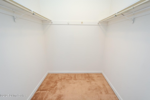 spacious closet with light colored carpet