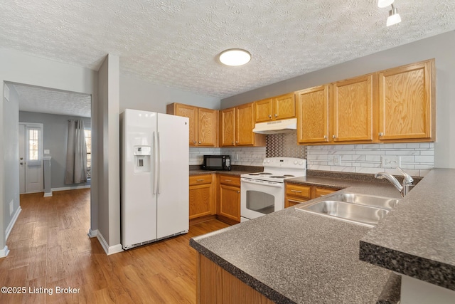 kitchen featuring under cabinet range hood, a sink, tasteful backsplash, white appliances, and light wood-style floors