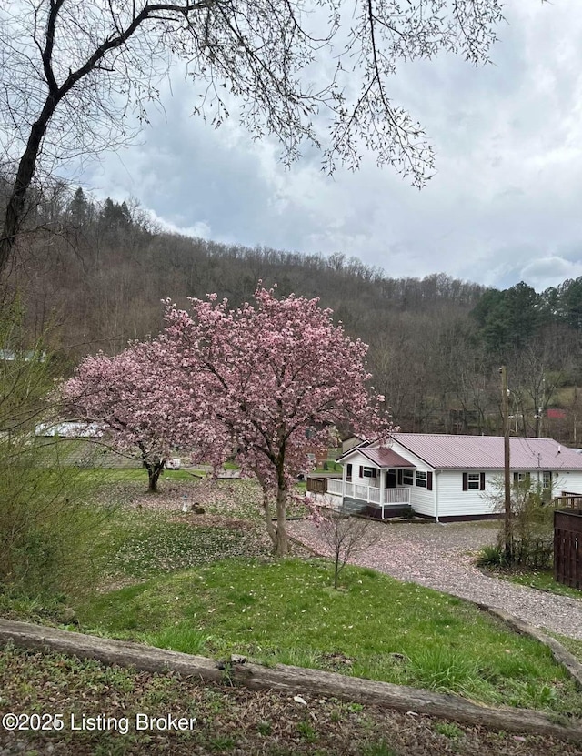 view of yard featuring a forest view and a porch