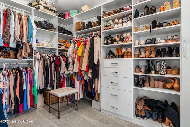 walk in closet with carpet flooring