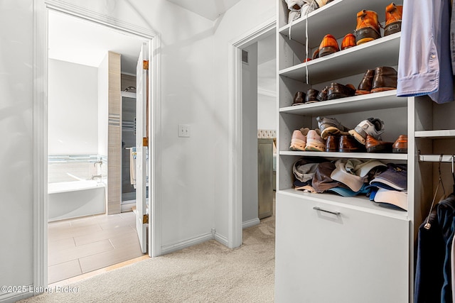 spacious closet with light carpet