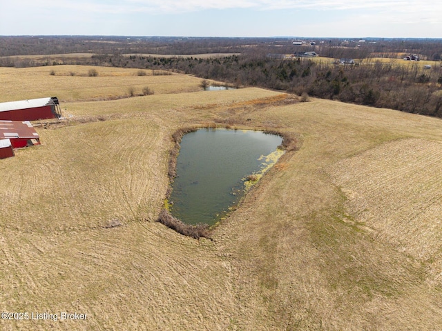 drone / aerial view with a water view and a rural view