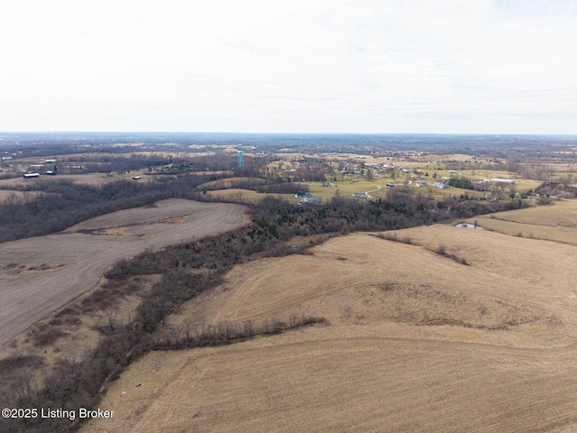 bird's eye view with a rural view