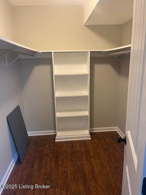 walk in closet with wood finished floors