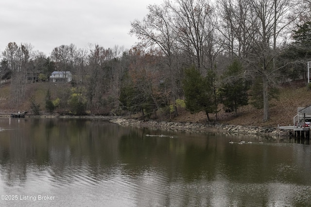 view of water feature