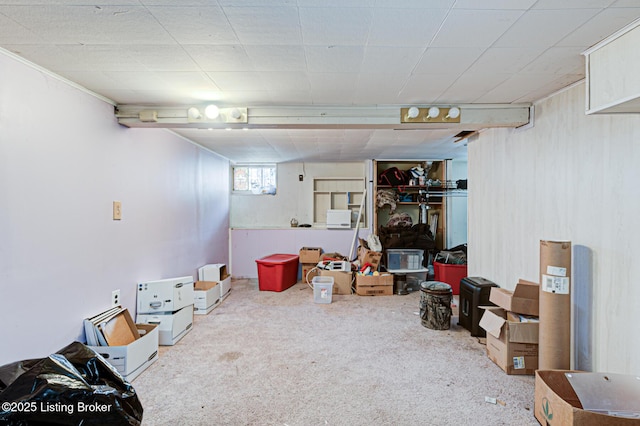 basement featuring carpet