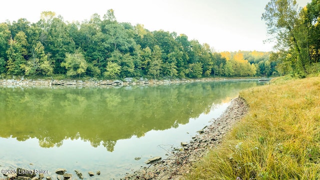 property view of water featuring a wooded view