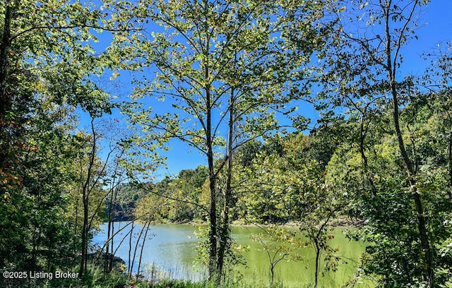 view of water feature featuring a view of trees