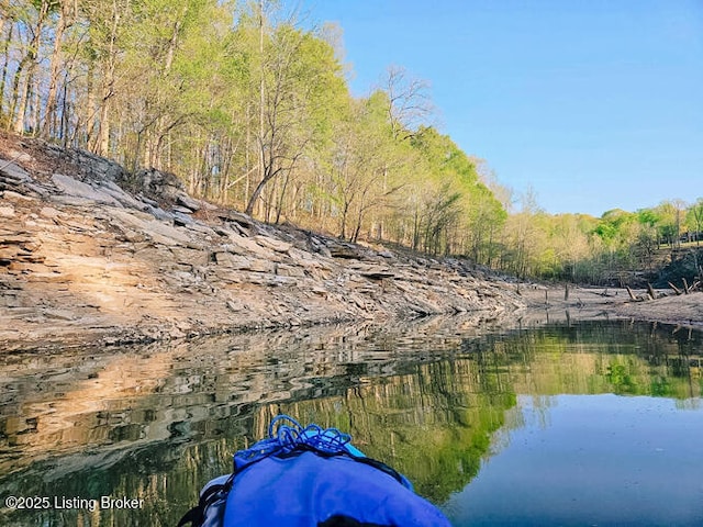 property view of water featuring a view of trees