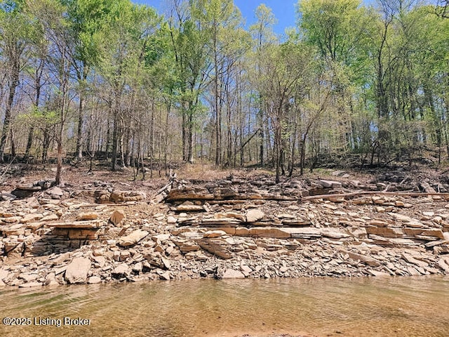 view of local wilderness