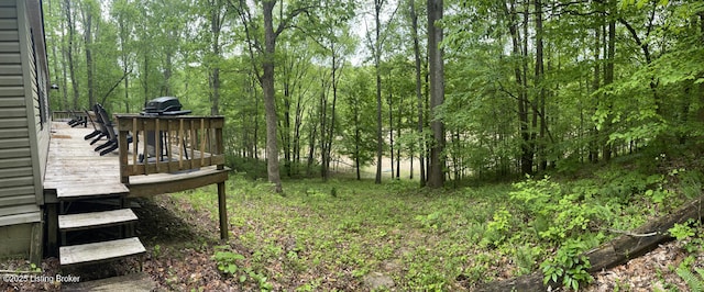 view of yard featuring a deck