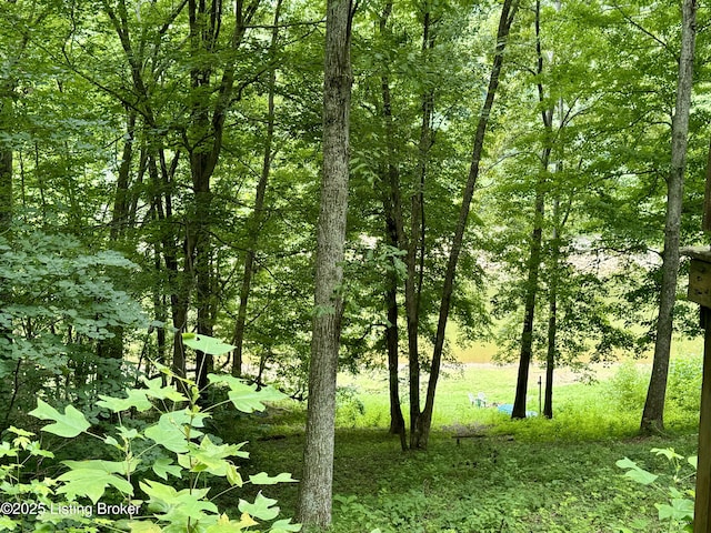 view of local wilderness featuring a forest view