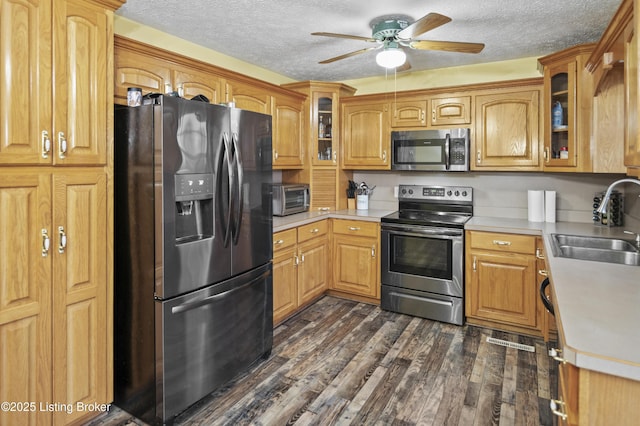 kitchen featuring a ceiling fan, a sink, appliances with stainless steel finishes, a toaster, and dark wood-style flooring