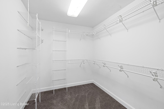 walk in closet with dark colored carpet