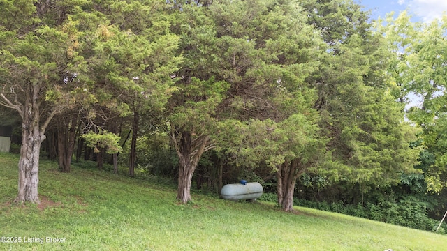 2321 18 Mile Creek Rd, Westport, KY 40077 - photo 50