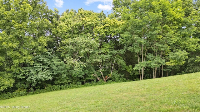 2321 18 Mile Creek Rd, Westport, KY 40077 - photo 51