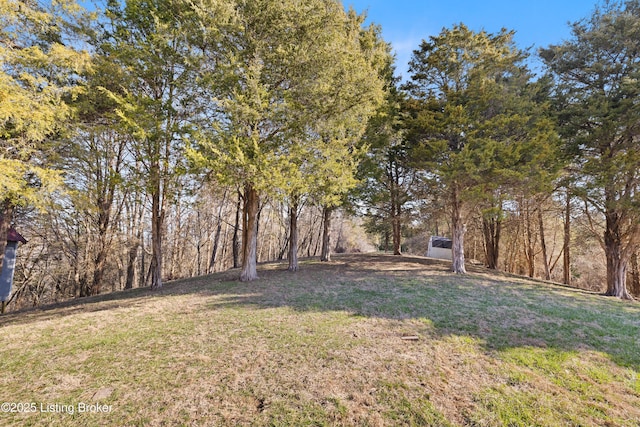2321 18 Mile Creek Rd, Westport, KY 40077 - photo 52