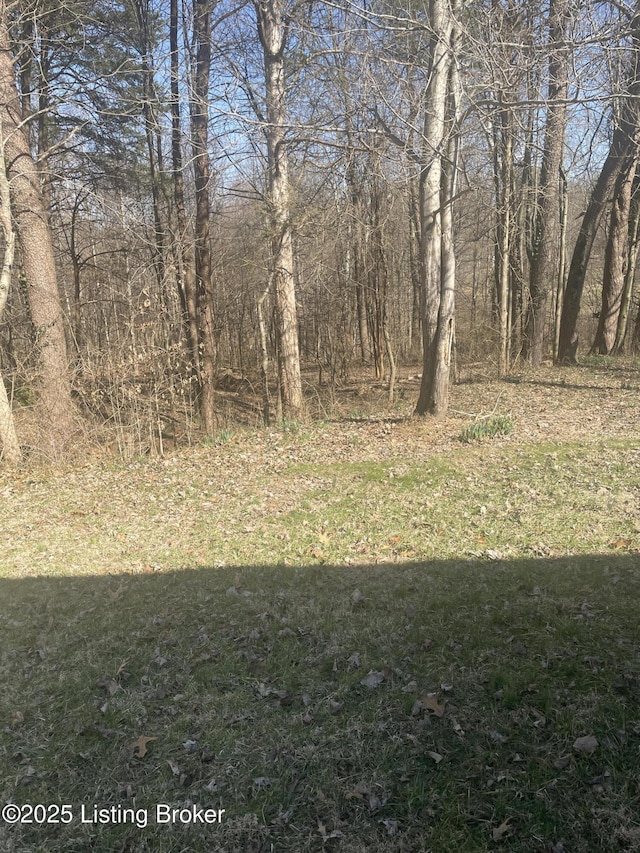 view of yard with a view of trees