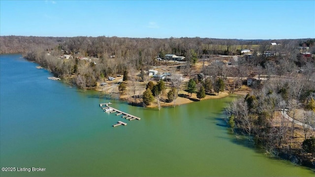 aerial view with a forest view and a water view