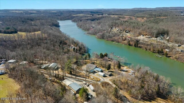 drone / aerial view with a water view and a wooded view