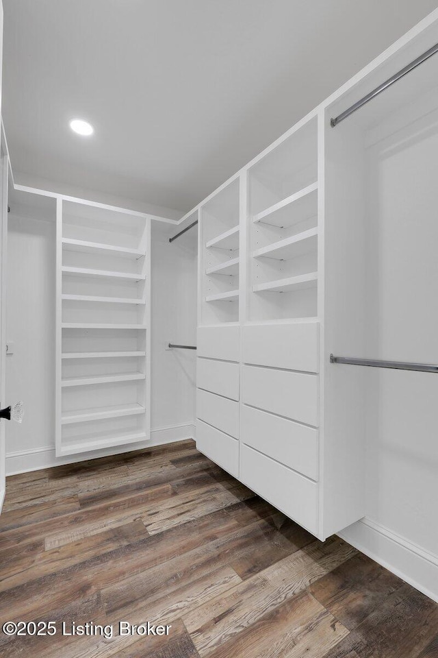 spacious closet featuring dark wood finished floors