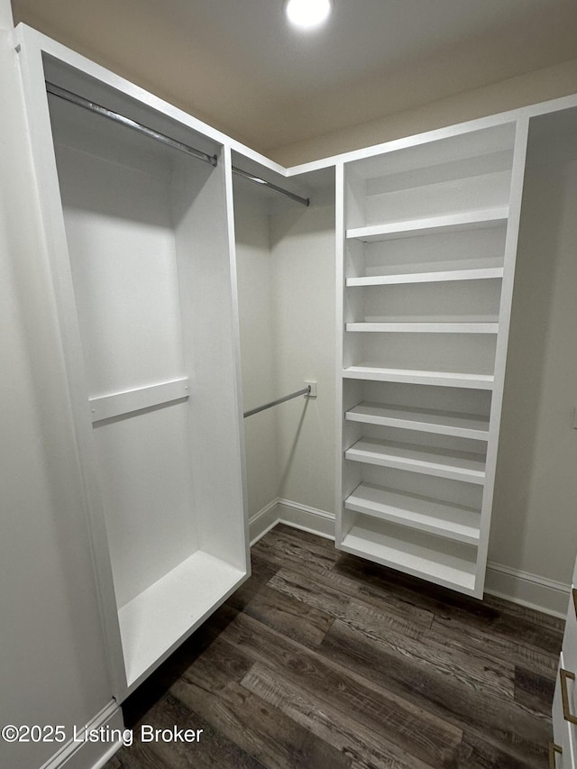 spacious closet with dark wood finished floors