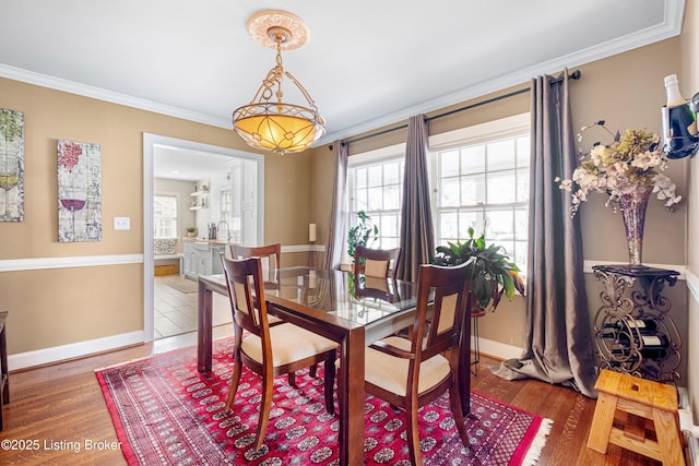 dining room featuring a healthy amount of sunlight, wood finished floors, and crown molding